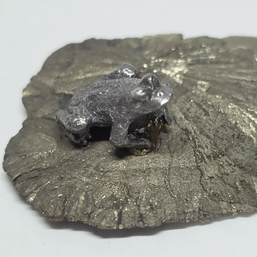 Frog On Pyrite Sun Shiny Miner’s Dollar Fools Gold Illinois Gift Paperweight